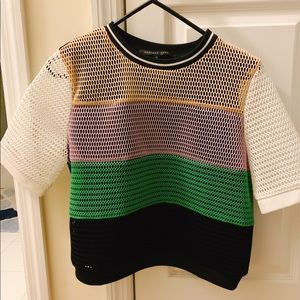 Endless rose rainbow mesh top size M